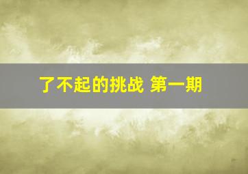 了不起的挑战 第一期